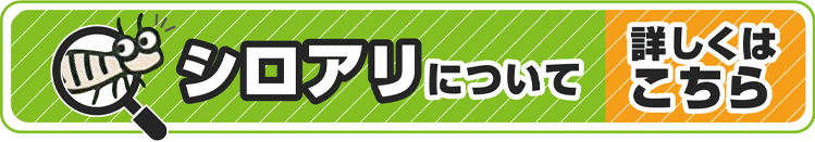 シロアリについて 詳しくはこちら